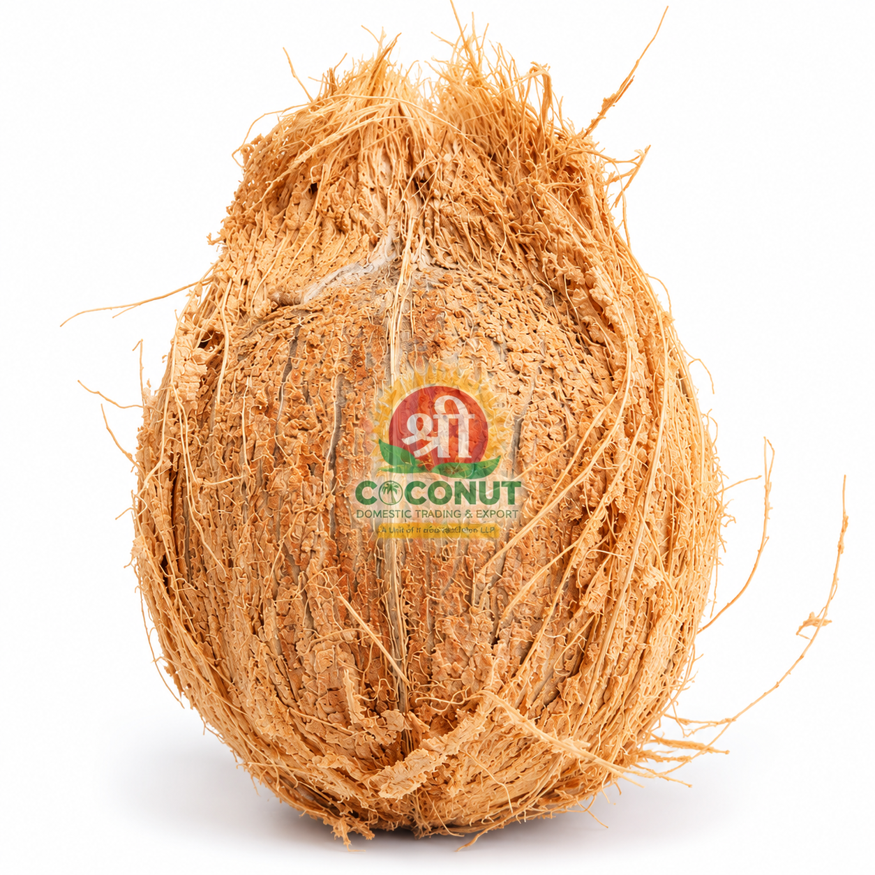Semi-Husked Coconut (Grade A Jumbo)