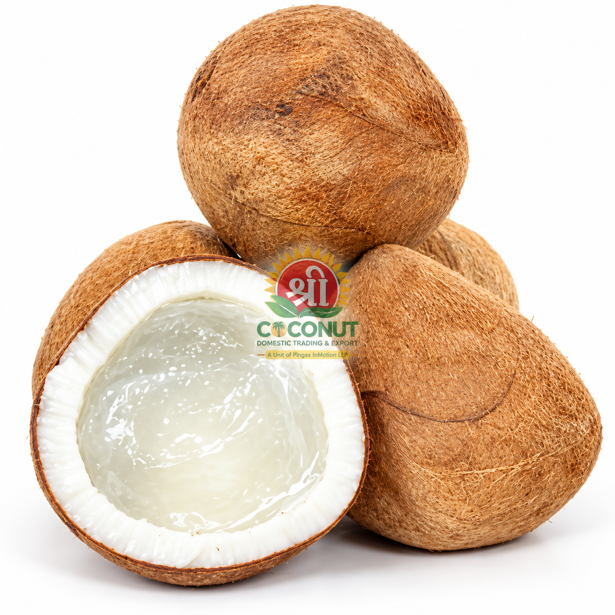 Dry Coconut / Ball Copra (Gotli Coconut)